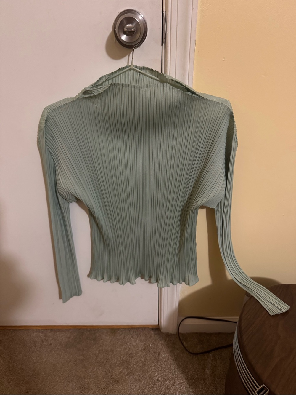 Women's Pleated Long-Sleeve Top in Light Sage